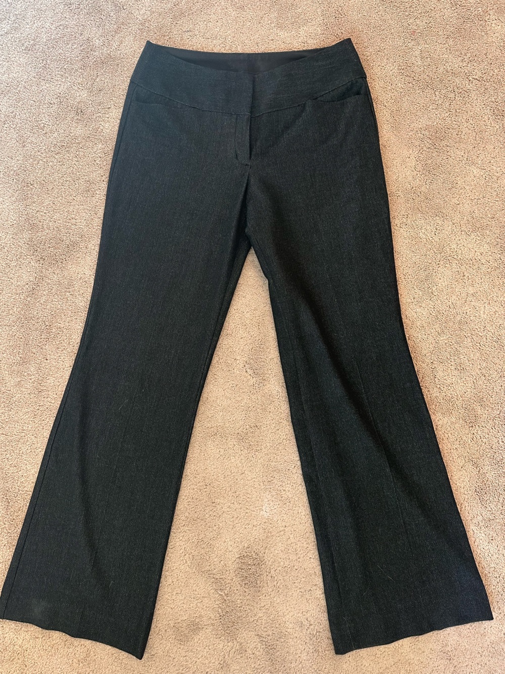 Express Editor Dress Pants in Dark Charcoal
